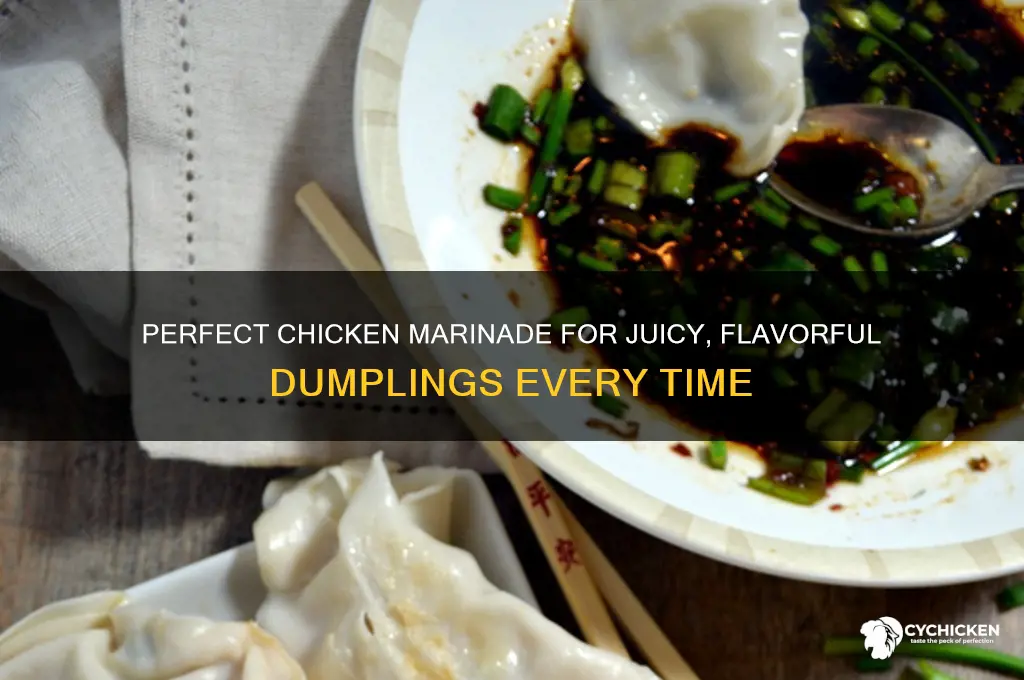 what to merinate chicken in for dumplings