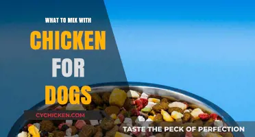 Healthy Chicken Mix-Ins: Safe and Nutritious Dog Food Combinations