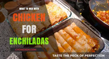 Delicious Chicken Enchilada Fillings: Creative Mix-Ins for Flavorful Wraps