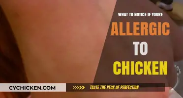 Spotting Chicken Allergy Symptoms: Key Signs to Watch For