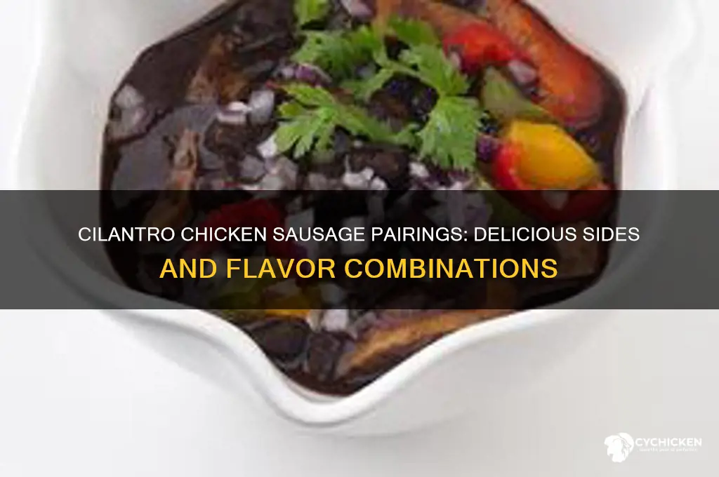 what to pair with cilantro chicken sausage
