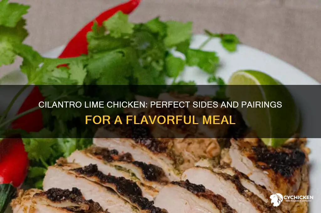 what to pair with cilantro lime chicken
