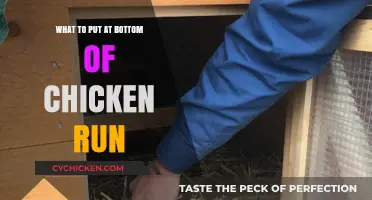 Best Flooring Options for Your Chicken Run: Tips and Ideas