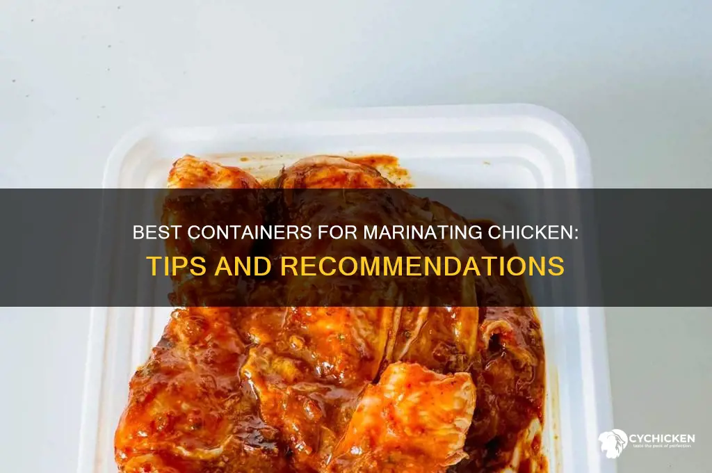 what to put chicken in while marinating