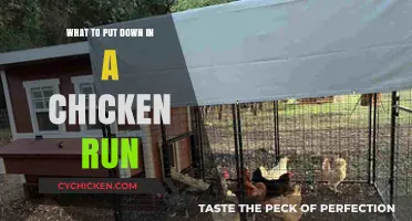 Essential Ground Cover Options for a Healthy Chicken Run