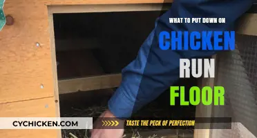 Best Flooring Options for a Clean, Safe Chicken Run Environment