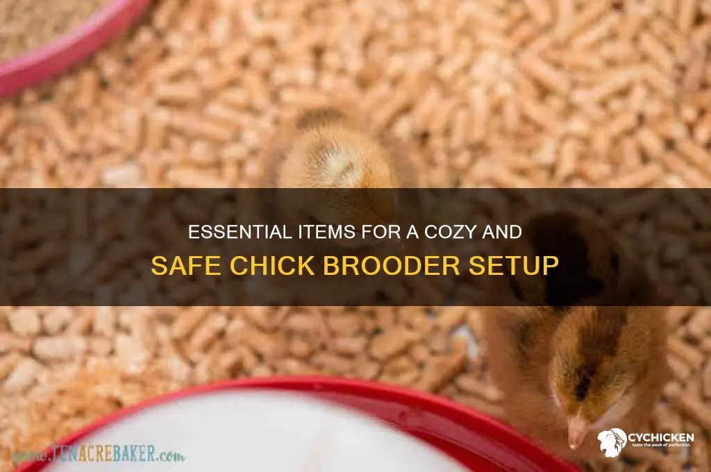 what to put in a chick brooder