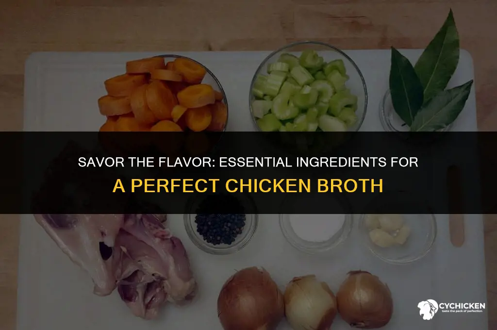 what to put in a chicken broth