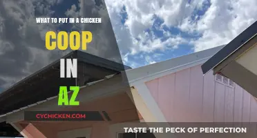 Essential Items for a Happy Chicken Coop in Arizona