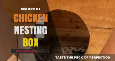 Essential Items for a Cozy Chicken Nesting Box Setup