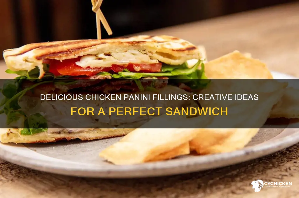 what to put in a chicken panini