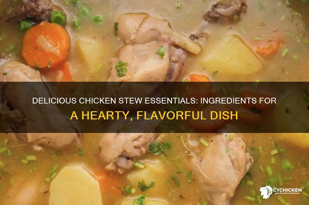 what to put in a chicken stew