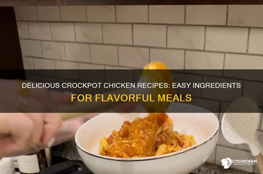 what to put in a crockpot with chicken
