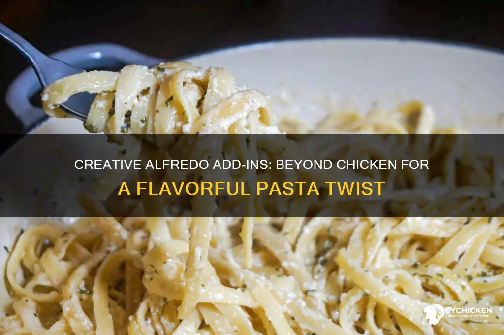 what to put in alfredo besides chicken
