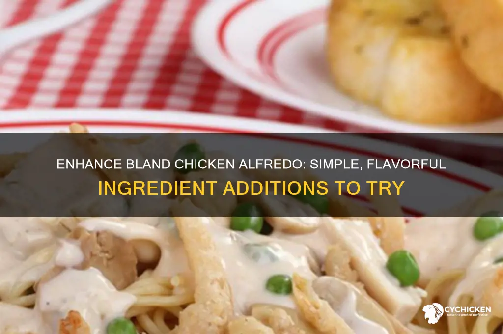 what to put in bland chicken alfredo