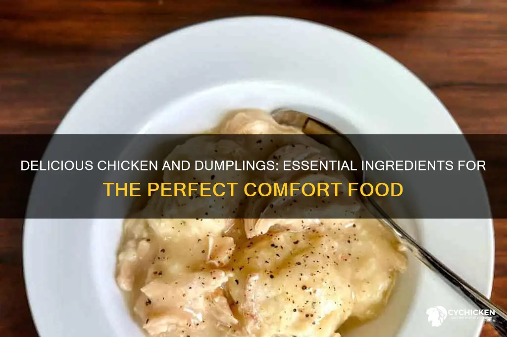 what to put in chicken and dumplings