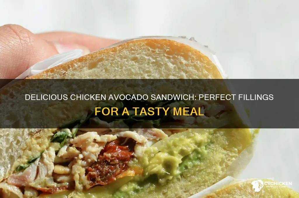 what to put in chicken avocado sandwich
