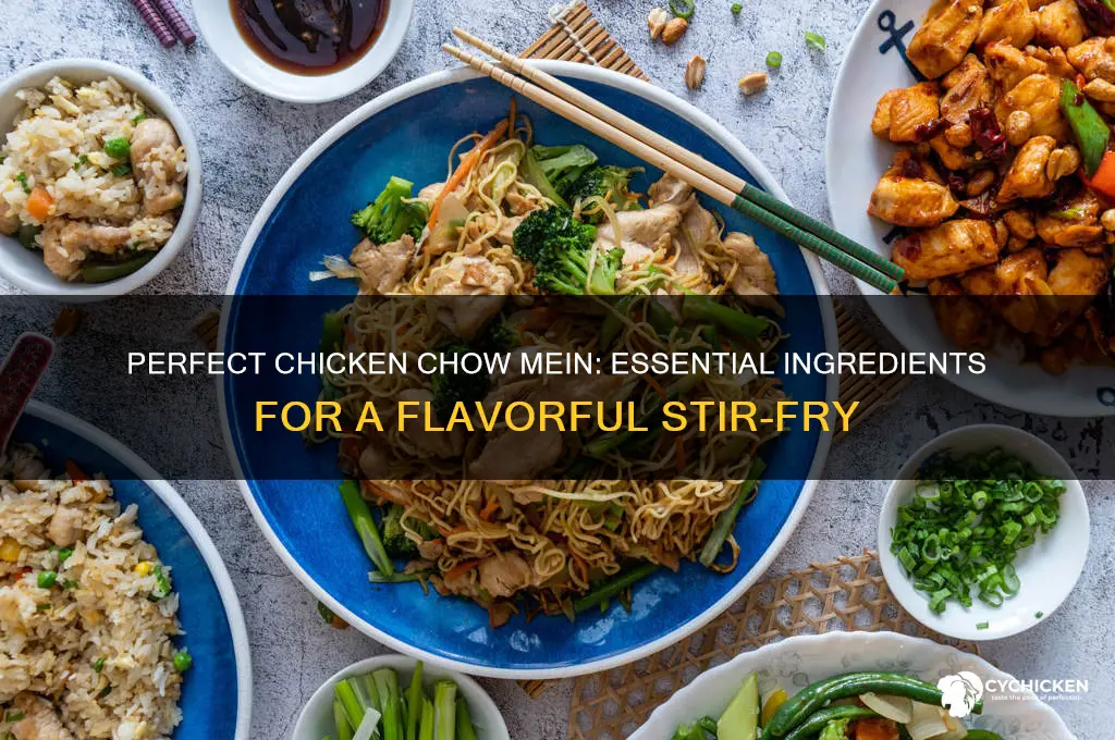 what to put in chicken chow mein