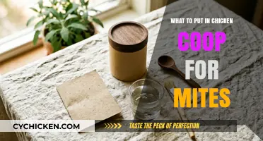 Natural Remedies for Mites in Your Chicken Coop: A Guide