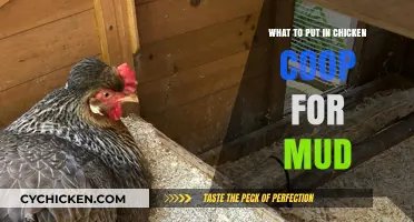 Natural Solutions for a Mud-Free Chicken Coop Environment