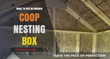 Cozy Quarters: Essential Items for Your Chicken Coop Nesting Box