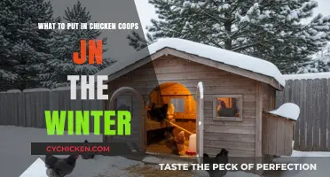 Winterizing Your Chicken Coop: Essential Tips for Cold Weather Care