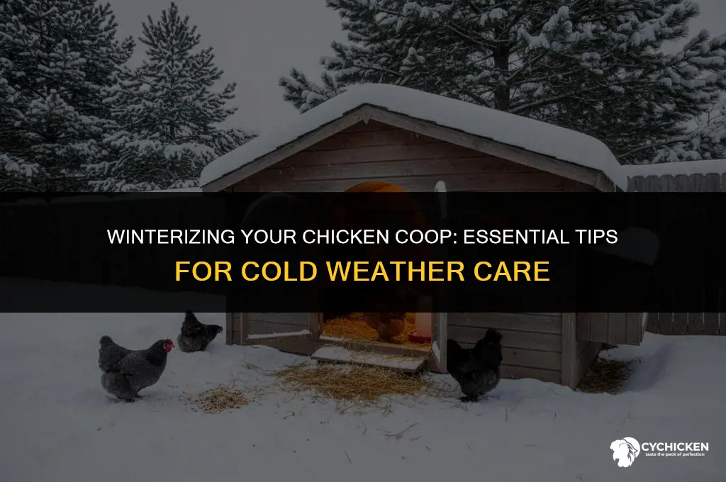what to put in chicken coops jn the winter