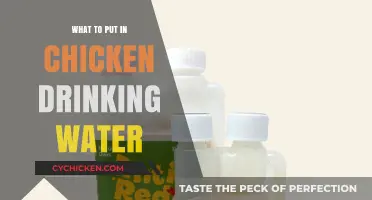 Enhance Chicken Hydration: Essential Additives for Drinking Water