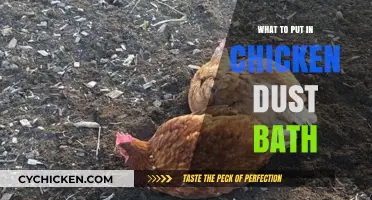 Essential Ingredients for a Healthy Chicken Dust Bath: A Guide
