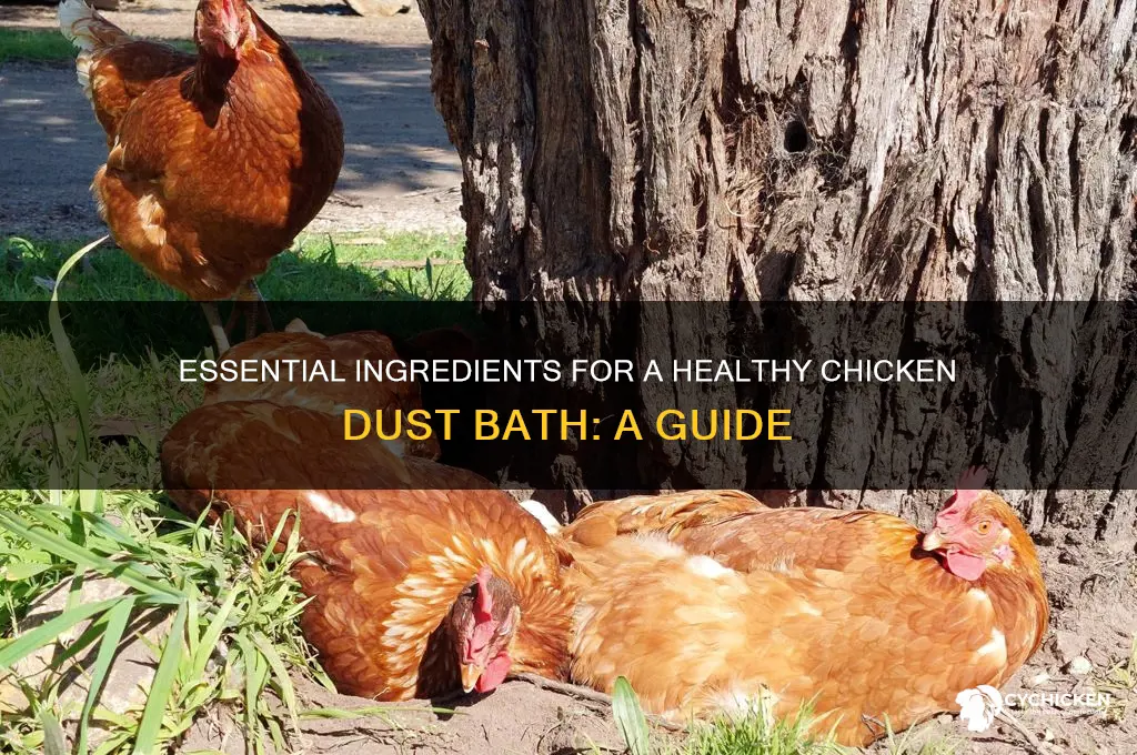 what to put in chicken dust bath