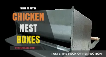 Essential Nest Box Supplies for Happy, Healthy Egg-Laying Chickens