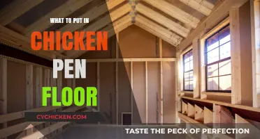 Best Chicken Pen Floor Materials for Comfort and Cleanliness