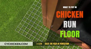 Best Flooring Options for a Clean, Safe Chicken Run