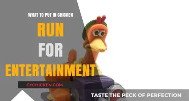 Fun Chicken Run Ideas: Enrichment Toys and Activities for Happy Hens