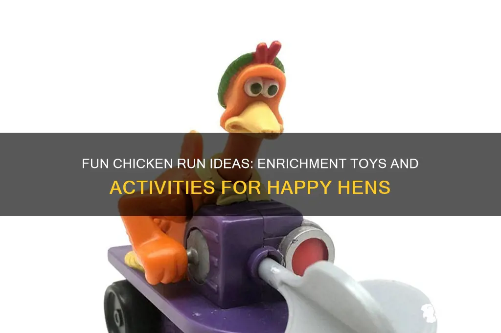 what to put in chicken run for entertainment