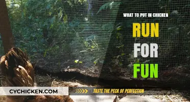 Enrich Your Chicken Run: Fun Ideas to Keep Your Flock Happy