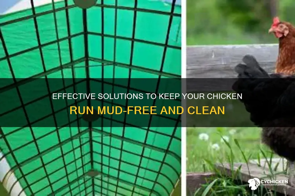 what to put in chicken run for mud
