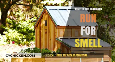 Effective Tips to Eliminate Odors in Your Chicken Run Naturally