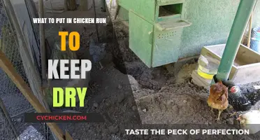Keeping Your Chicken Run Dry: Tips and Tricks