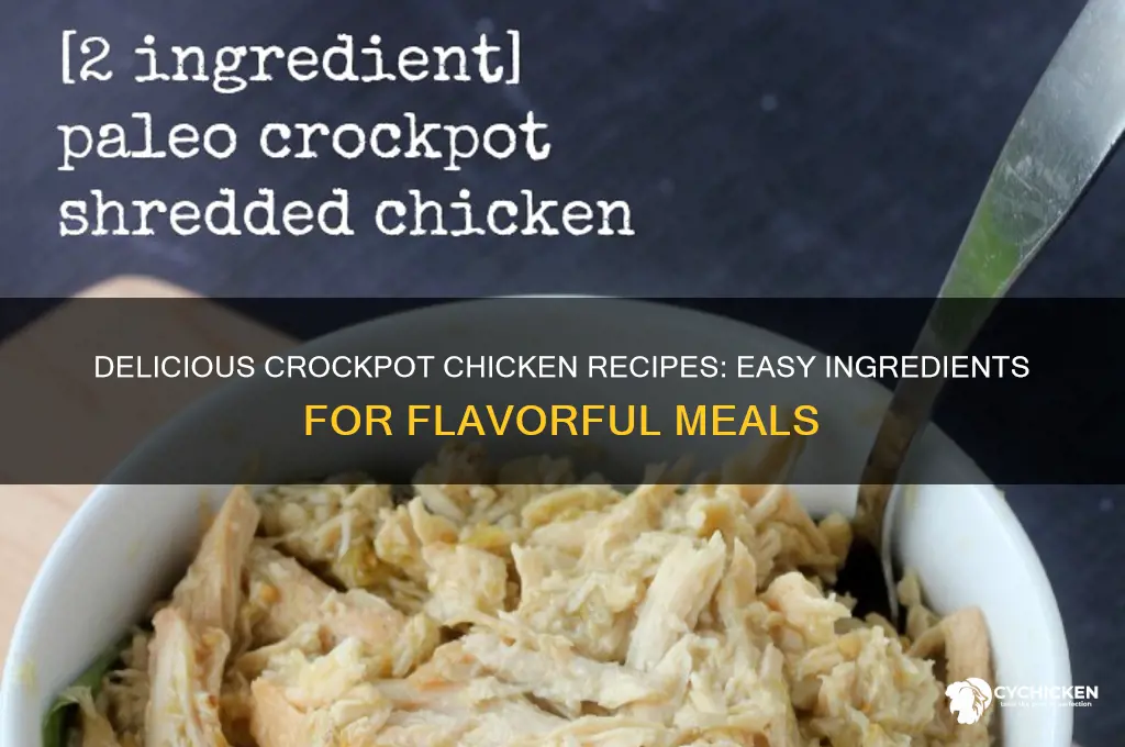 what to put in crockpot with chicken