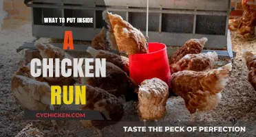 Essential Items to Include in Your Chicken Run for Happy Hens
