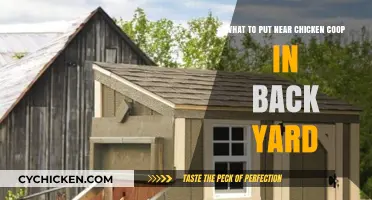 Enhancing Your Backyard: Ideal Companions for Your Chicken Coop