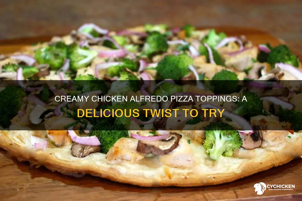 what to put on a chicken alfredo pizza