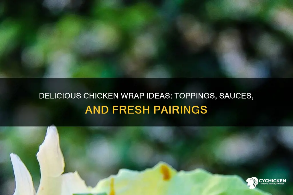 what to put on a wrap with chicken