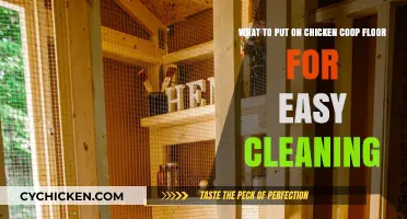 Simplify Your Chicken Coop Cleaning: The Ultimate Flooring Guide