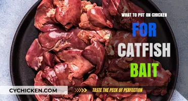 Effective Chicken-Based Catfish Bait: Top Tips for Anglers