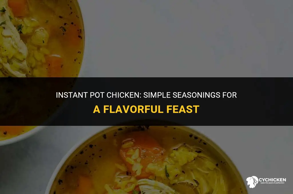 what to put on chicken for instant pot
