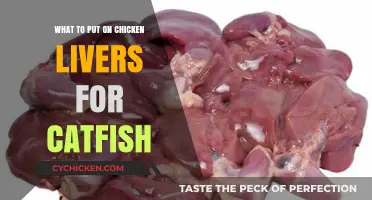 Top Catfish Bait: Best Seasonings for Chicken Livers Revealed