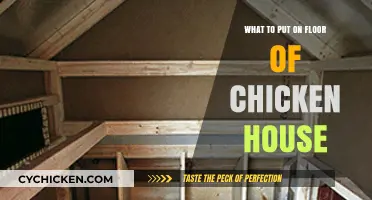 Best Flooring Options for a Clean, Healthy Chicken Coop