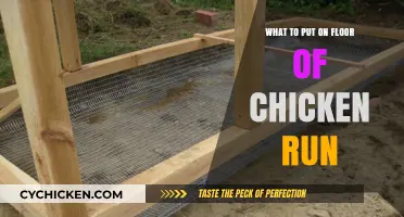 Best Flooring Options for a Clean, Safe Chicken Run